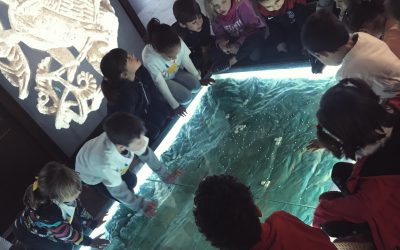 21/03/2019 Visita de l’escola Ramon Estadella de Guissona