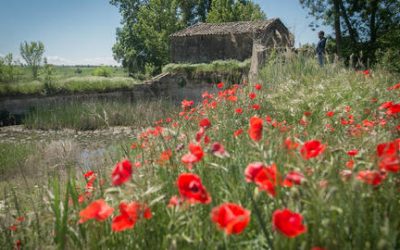 19/05/2019 Racons encantadors de Plans de Sió.