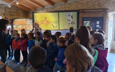 28/10/2019 Visita de l’escola Fedac de Guissona.