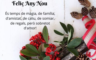 20/12/2019 Bon Nadal i Feliç Any Nou!!