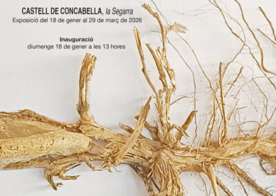 18/1/2026 Gaspar Burón presenta ‘La terra que embruta les mans’, un convit a retrobar la natura